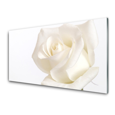 Slika na steklu Rose flowers