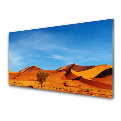 Slika na steklu Pokrajina desert sand