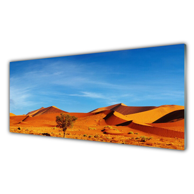 Slika na steklu Pokrajina desert sand