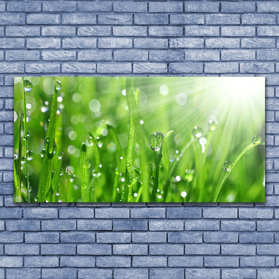 Slika na steklu Narava grass drops