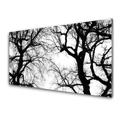 Slika na steklu Drevesa narava black and white