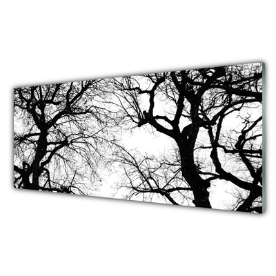 Slika na steklu Drevesa narava black and white
