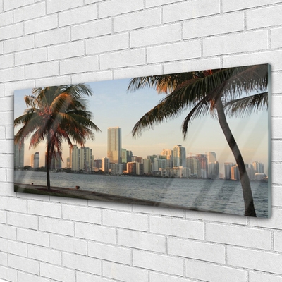 Slika na steklu Tropical palm mesta morje