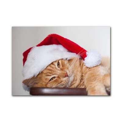 Steklena slika Cat Cap Santa Claus