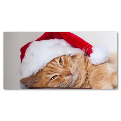 Steklena slika Cat Cap Santa Claus