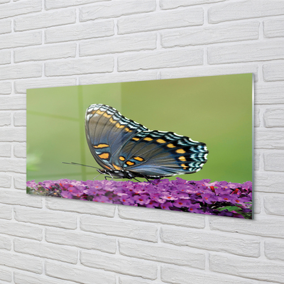 Stenska plošča za kuhinjo Pisani metulj na cvetje