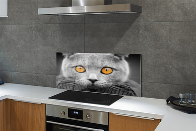 Stenska plošča za kuhinjo Siva britanska mačka