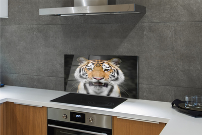 Stenska plošča za kuhinjo Tiger