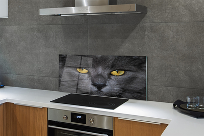 Stenska plošča za kuhinjo Črna mačka