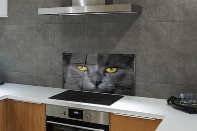 Stenska plošča za kuhinjo Črna mačka