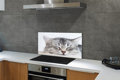 Stenska plošča za kuhinjo Zaspani maček