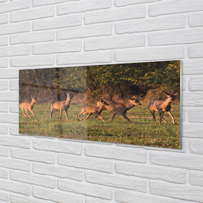 Stenska plošča za kuhinjo Deer golf sunrise