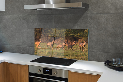 Stenska plošča za kuhinjo Deer golf sunrise