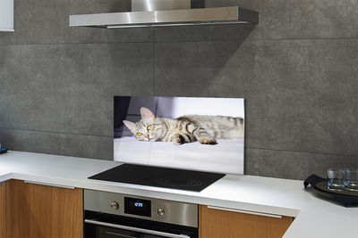 Stenska plošča za kuhinjo Leži mačka