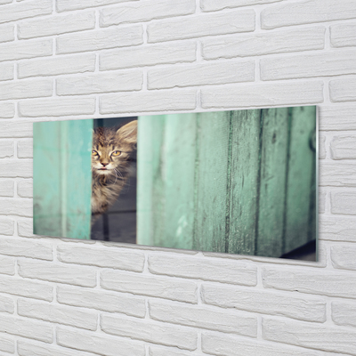 Stenska plošča za kuhinjo Zaglądający mačka