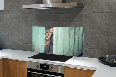 Stenska plošča za kuhinjo Zaglądający mačka