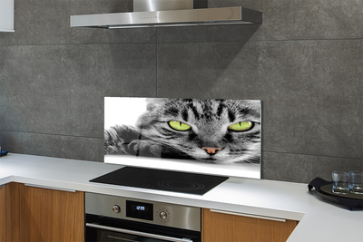 Stenska plošča za kuhinjo Sivo-črna mačka