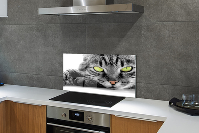 Stenska plošča za kuhinjo Sivo-črna mačka