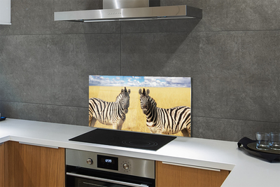 Stenska plošča za kuhinjo Zebra polje
