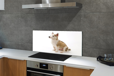 Stenska plošča za kuhinjo Sedenje majhen pes