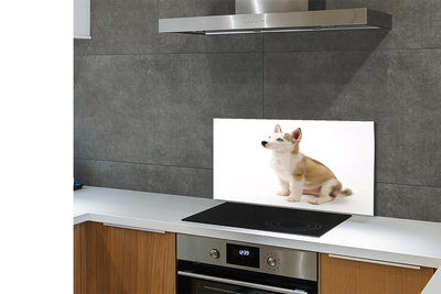Stenska plošča za kuhinjo Sedenje majhen pes