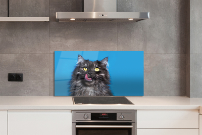 Stenska plošča za kuhinjo Oblizujący mačka