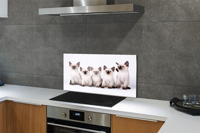 Stenska plošča za kuhinjo Majhne mačke