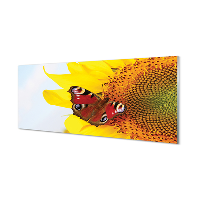 Stenska plošča za kuhinjo Sončnično metulj