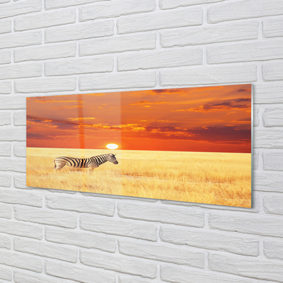 Stenska plošča za kuhinjo Zebra polje sunset