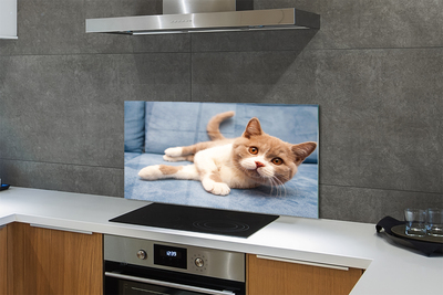 Stenska plošča za kuhinjo Leži mačka