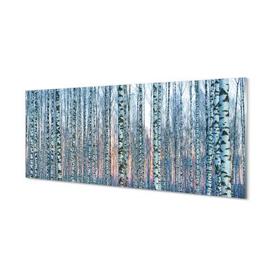 Stenska plošča za kuhinjo Birch gozd sunset