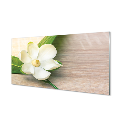 Stenska plošča za kuhinjo Bele magnolije