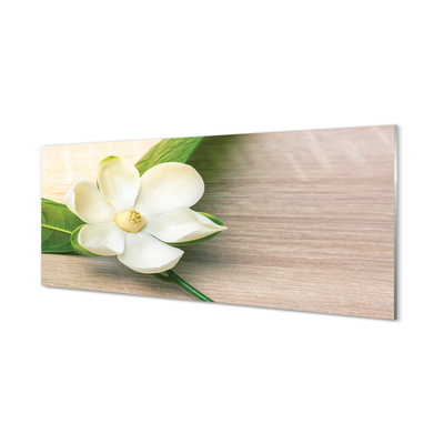 Stenska plošča za kuhinjo Bele magnolije