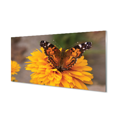 Stenska plošča za kuhinjo Pisani metulj cvet