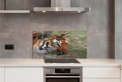 Stenska plošča za kuhinjo Tiger woods
