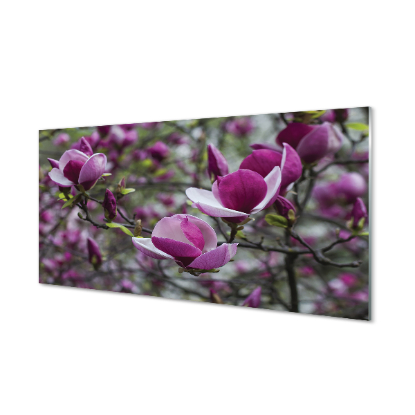 Stenska plošča za kuhinjo Vijolična magnolija