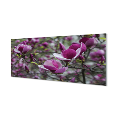 Stenska plošča za kuhinjo Vijolična magnolija