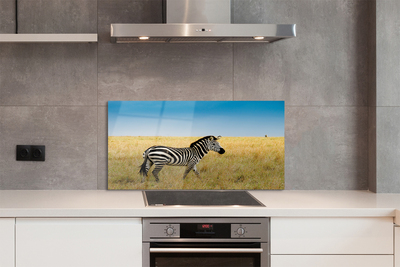 Stenska plošča za kuhinjo Zebra polje