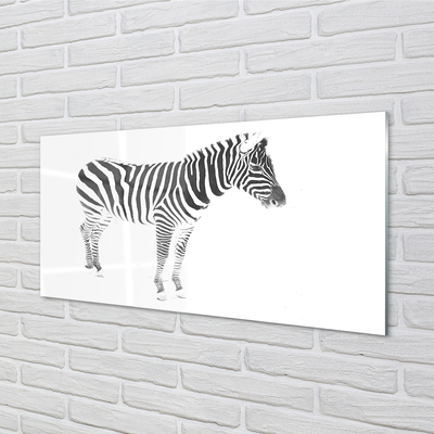 Stenska plošča za kuhinjo Poslikano zebra