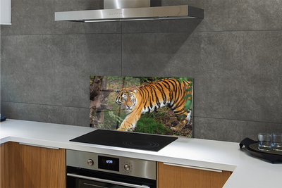 Stenska plošča za kuhinjo Tiger woods