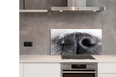 Stenska plošča za kuhinjo Psu nos