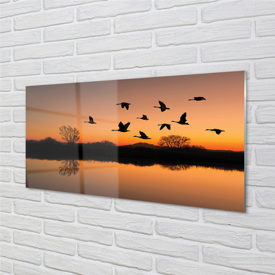 Stenska plošča za kuhinjo Flying ptice sunset