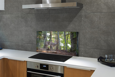 Stenska plošča za kuhinjo Jelen gozd