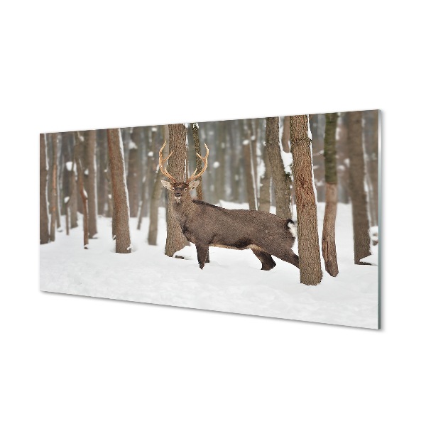 Stenska plošča za kuhinjo Deer zimski gozd