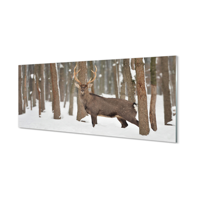 Stenska plošča za kuhinjo Deer zimski gozd