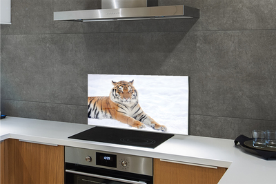 Stenska plošča za kuhinjo Tiger zima