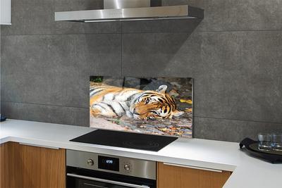 Stenska plošča za kuhinjo Leži tiger