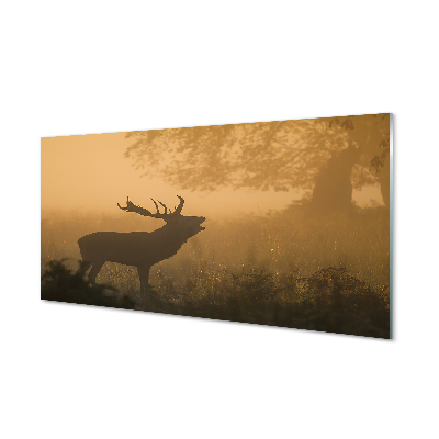 Stenska plošča za kuhinjo Deer sunrise