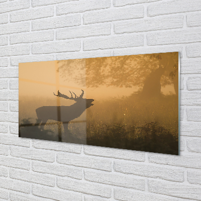 Stenska plošča za kuhinjo Deer sunrise