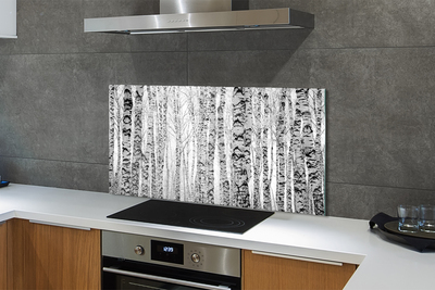 Stenska plošča za kuhinjo Črno-bele breze